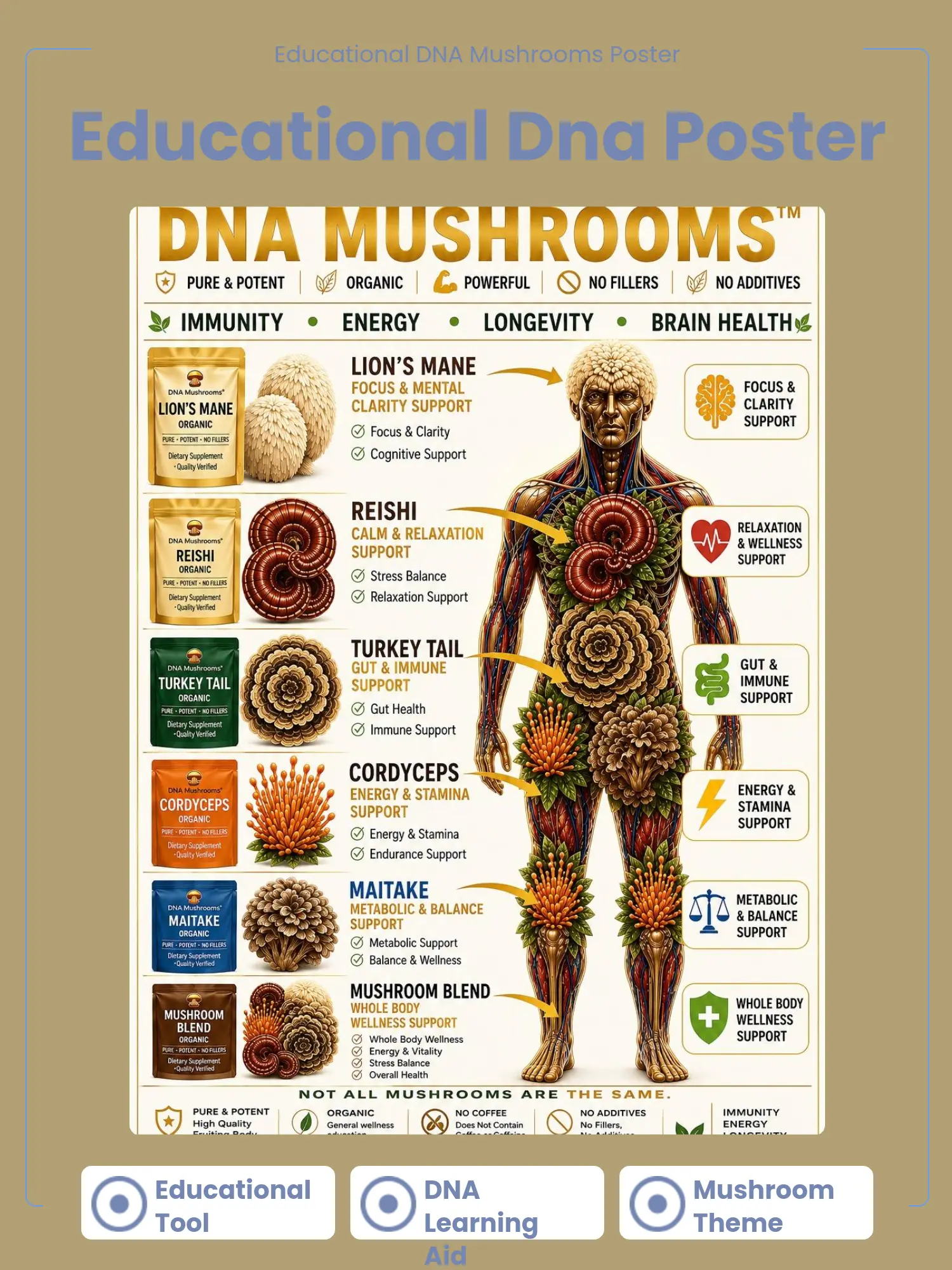 DNA Mushrooms Educational Poster - English Version, Elementary School Classroom Supplies, Home Classroom Decorations, Back to School Haul Printed Curriculum Resources, Learning Aid