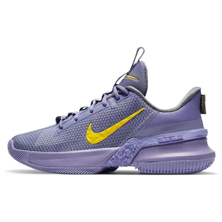 Nike Ambassador 13 Lakers' Cushioned Durable Low Top Basketball Shoes Men's CQ9329-500
