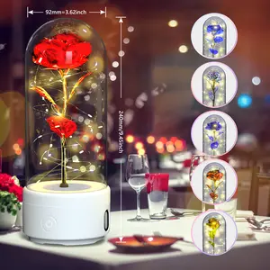 Valentine's Day Gift - Creative 2 In 1 Rose Flowers LED Light & Bluetooth Compatible Speaker in Glass Cover - Handmade Rose Light Ornament