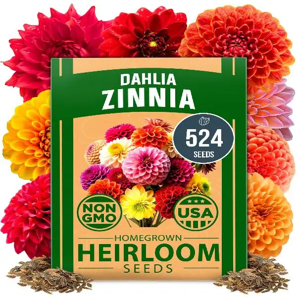 HOME GROWN Zinnia Dahlia Seeds Pack- Bulk Flower Seeds to Plant Outside for Vibrant Blooms, 524 Zinnia Seeds Perfect for Pollinator-Friendly Gardens,