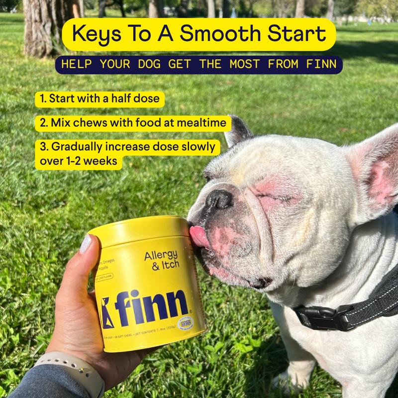 FINN Allergy & Itch for Dogs - Natural Allergy Relief, Itchy Skin, Immune Support, Bee Propolis, Probiotics - 90 Soft Chews
