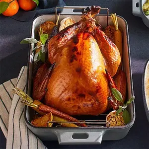 Pampered Chef 14 X 10 (35-CM X 25-CM) ENAMELED CAST IRON PAN Stainless Steel