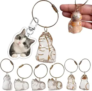 Cute Pets Fur Memory Charm 6 Cat Shapes Clear Acrylic Pendant for Cat Hair Collection Memorial Gift Keychain Necklace Decoration decor