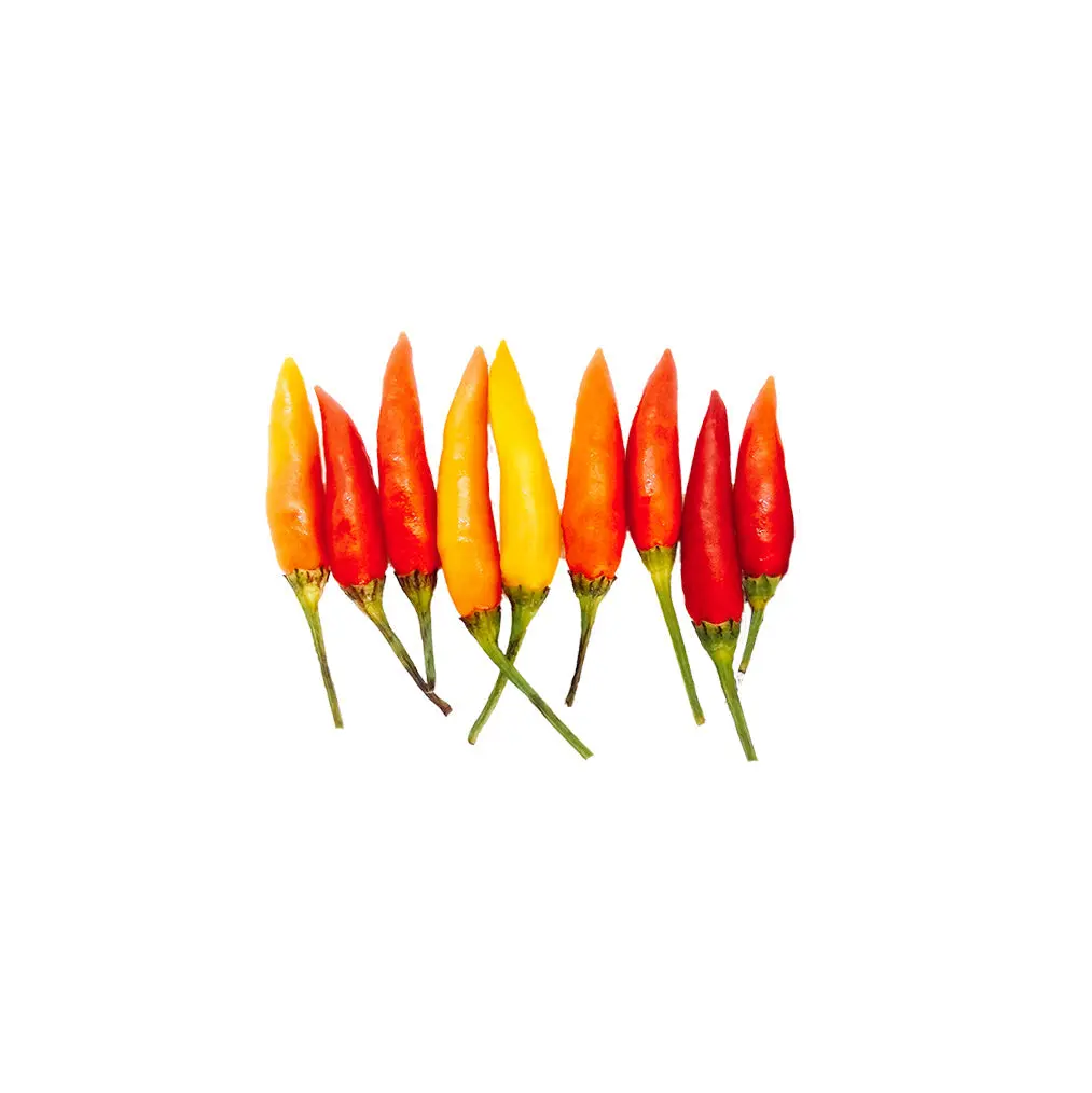 Tabasco Pepper Seeds - Heirloom - Easy Growth & Very Hot - ON SALE