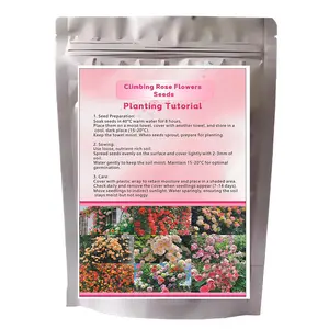 200 Pcs Four Seasons Sowing Climbing Wall Rose Seeds for Flowering Garden Indoor Flower Pot Decorative Plant Fence Home Outdoor Exterior