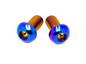 Titanium Motor Cover Bolts (Set of Two) Surron LBX, Segway, 79 Bike, E-Ride Pro