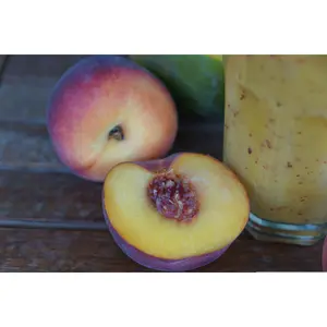 3 Late Crawford Yellow Heirloom Peach Tree Scions, Cuttings, Scionwood