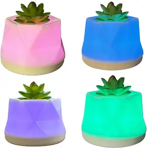 LED Color Changing Aroma Diffuser - Water-Free Flameless Succulent Night Light Essential Oil Diffuser for Home Desk Bedroom Decor