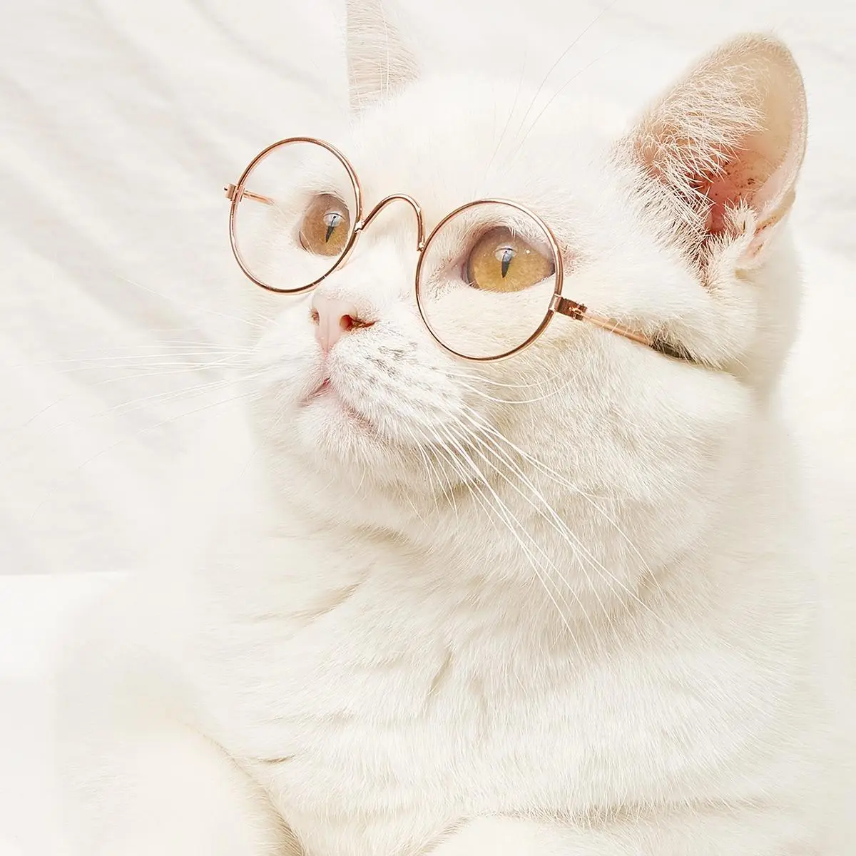 Cute Cat Glasses, 1 Pair Fashion Pet Eyewear for Small Dogs & Cats, Pet Photo Props for Party, Daily Clothing Decor, Fun Pets Supplies