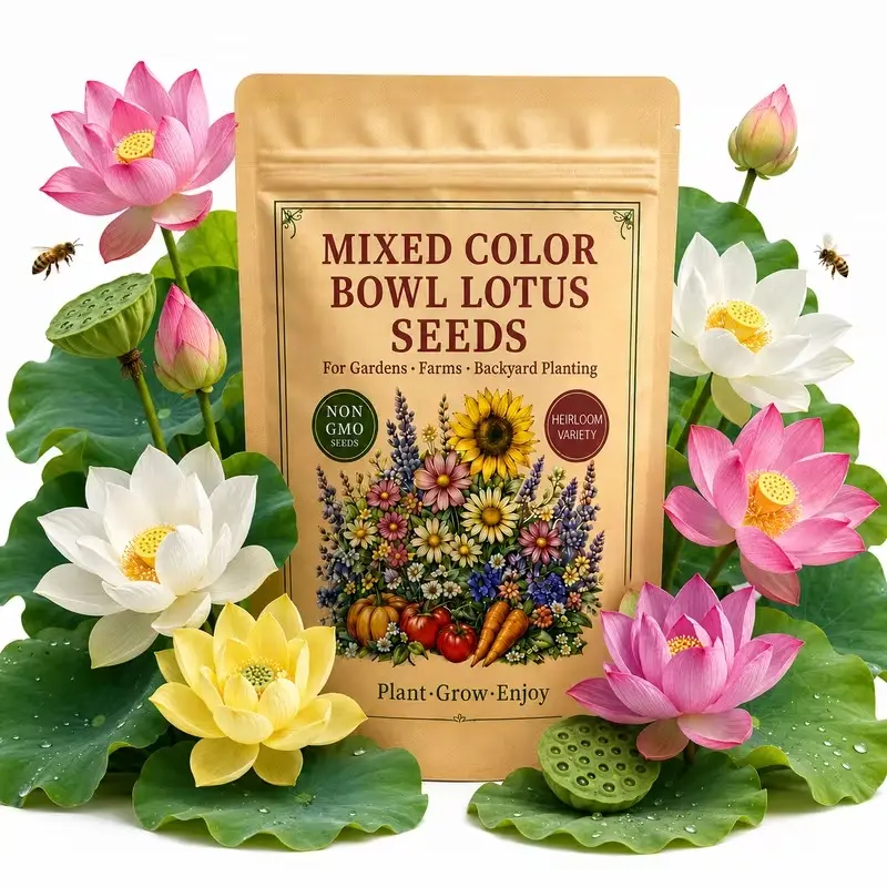 15 Mixed Color Bowl Lotus Seeds - Aquatic Water Lily Seeds for Outdoor Ponds & Container Gardens, Flower Colors May Vary
