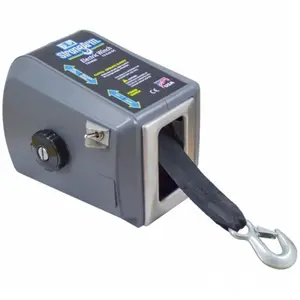 Goldenrod 250-TW4000 TW4000 12 Volt Trailer Winch 1500 lb