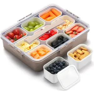 9 Compartment Snack Box Container for Adults, Divided Serving Tray with Lid and Handle, Portable Charcuterie Snack Platter for Fruit Veggie Party Travel, Brown
