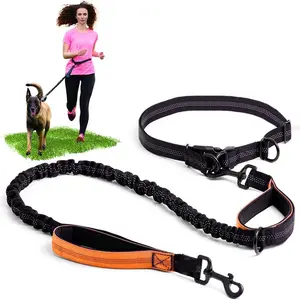 Running Dog Leash Waist Belt, Hands Free Leash, Reflective Safety Buffer Stretch Outdoor Dog Rope, Secure and Comfortable Pet Walking Gear