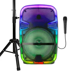 Dazone 12" Portable Party Boombox Bluetooth Speaker with LED Lights, Wired Microphone, Speaker Stands, Remote