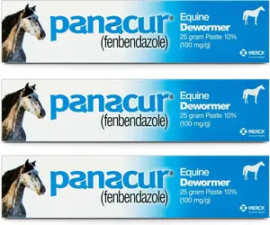 (3 Pack) PANACUR Horse Paste 10%, 100mg Each