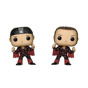 Funko POP! Wrestling: Bullet Club - Young Bucks 2 Pack, Multicolor