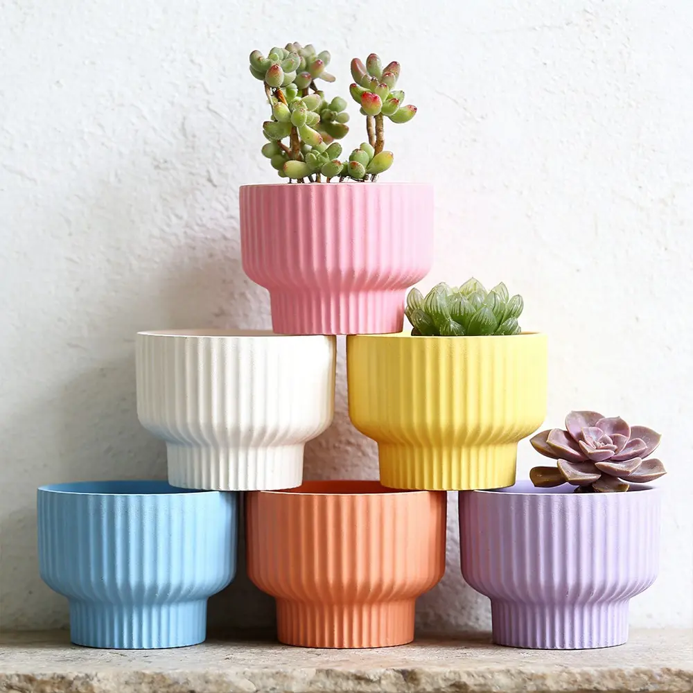outdoor plants plastic Clear Plastic Pot 12cm / Single main image 0