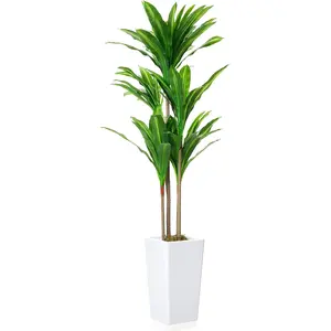 4.8FT Artificial Dracaena Plant in White Tall Planter, Decorative Evergreen Tropical Plant Fake Potted Dracaena Fragrans Tree, for Home