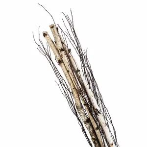Birch Pole and Branch Bundle in Plastic Craft Sleeve