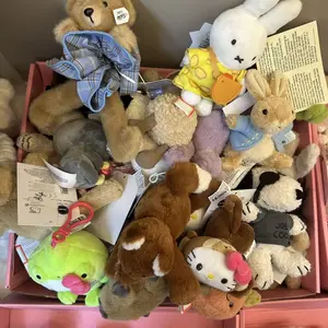 Live Stream Exclusive Benefits-Cute Plush Bag Charm Mystery Box | Random Soft Toy Keychain