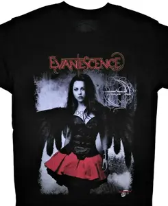 Evanescence Band Heavy Cotton All Size Unisex Black Shirt