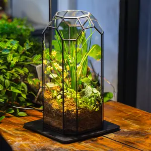 NCYP Tall Handmade Open Glass Geometric Terrarium for Plant, Succulent, Cacti 12.8" (Terrarium Only), Decorating Planter