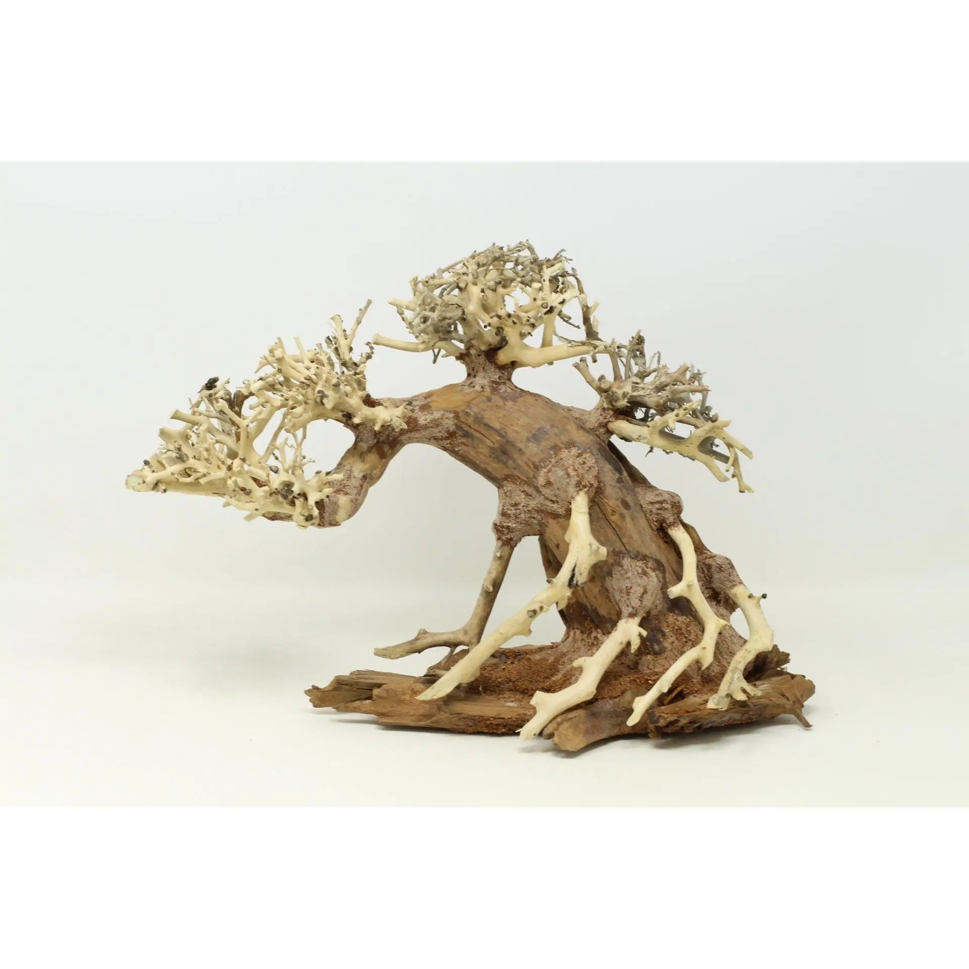 Aquarium Driftwood Bonsai Tree Aquascape Fish Planted Freshwater AMX-Random Pick