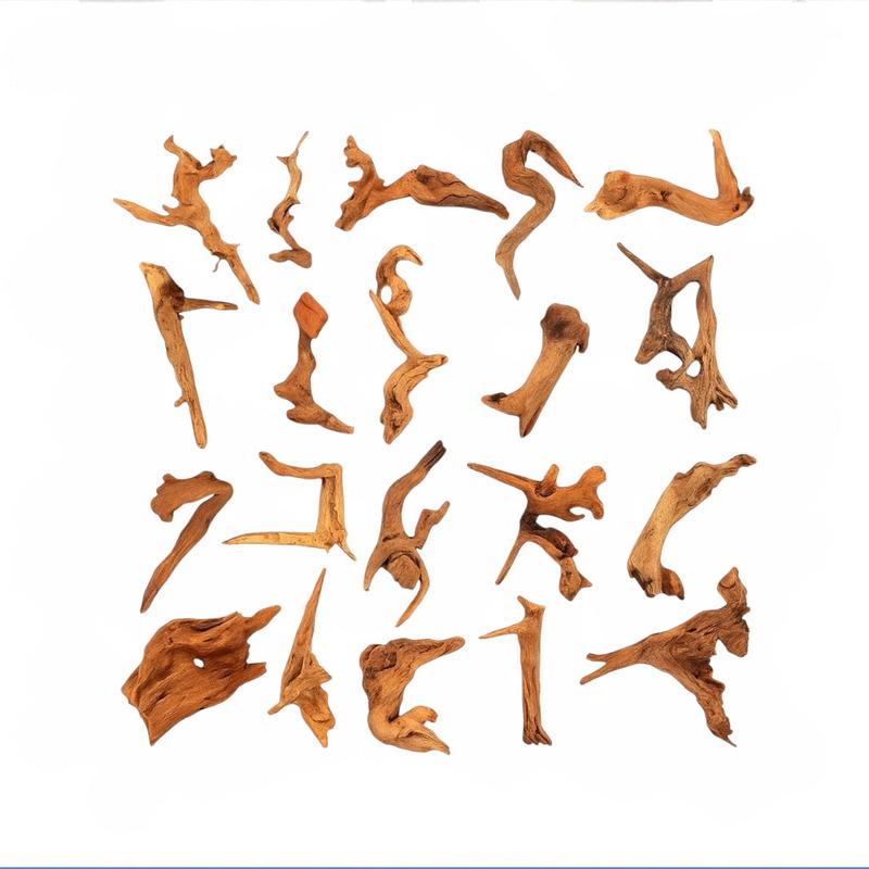 Betta Bundle w/ Coconut Cave, Driftwood, Floating Feeding Ring and Botanicals