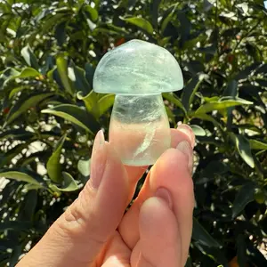Small Green Fluorite Mushroom Carving-Fluorite Gemstone Mushroom,A140