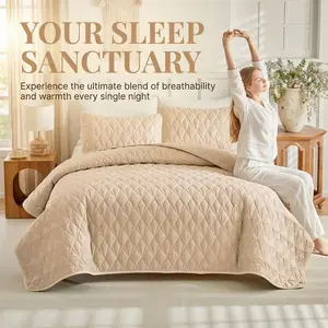 3-Piece Quilted Bedding Set, Twin Size Sheet Cover Three Piece Set, Soft Breathable All-Season Bedspread, Simple Stitching Blanket