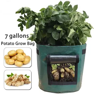 Potato Growing Bag, 1 Count Multi-size Garden Vegetable Cultivation Bag with Handle & Breathable Window, Plant Growing Bag for Growing Potatoes, Carrots, Onions, Taro, Radish, Peanuts, Reusable Planting Bag