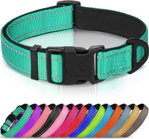 Reflective Dog Collar, Soft Neoprene Padded, Metal D-Ring, Nylon Pet Collar Adjustable for Large Dogs, Teal, L