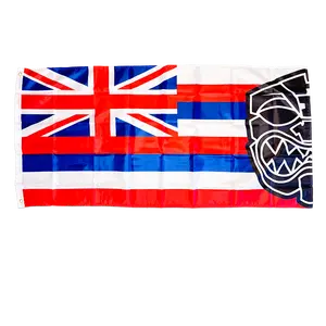 HAWAII REP FLAGS POS