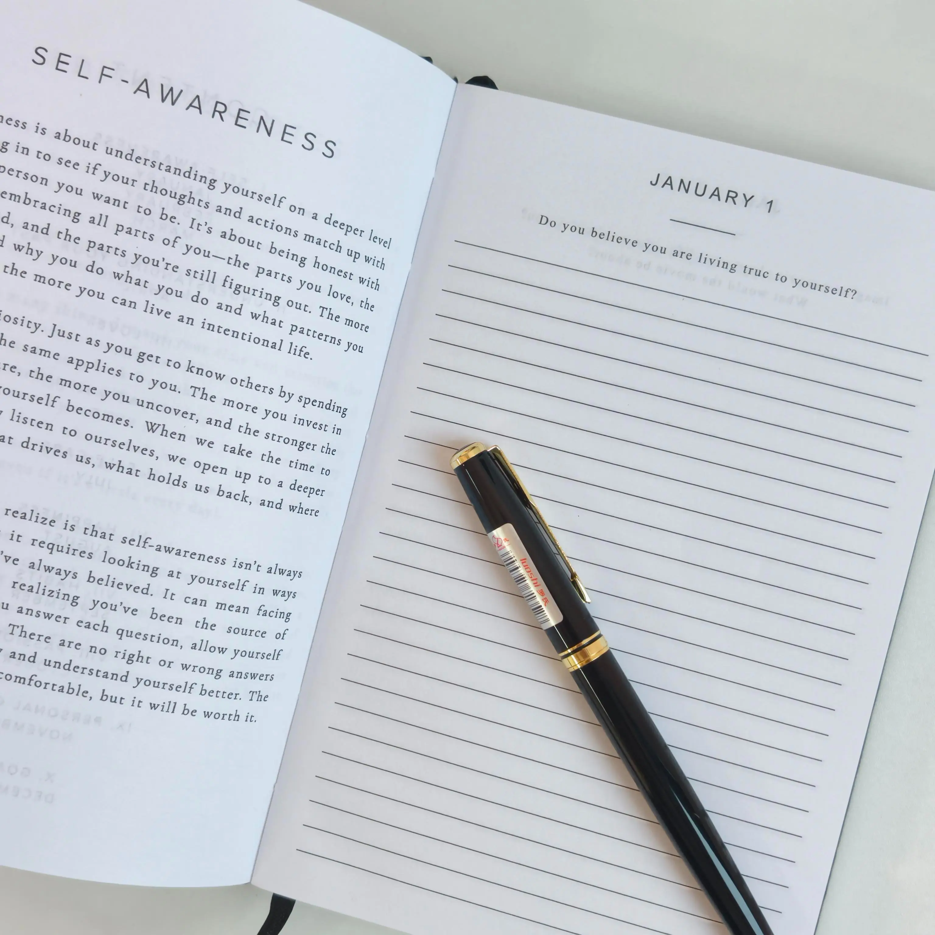 Better Every Day Guided Daily Journal - 365 Pre-Dated Prompts for Self-Love, Reflection, Growth, Gratitude, Wellness, Healing - Self-Care Routine Gift for Women