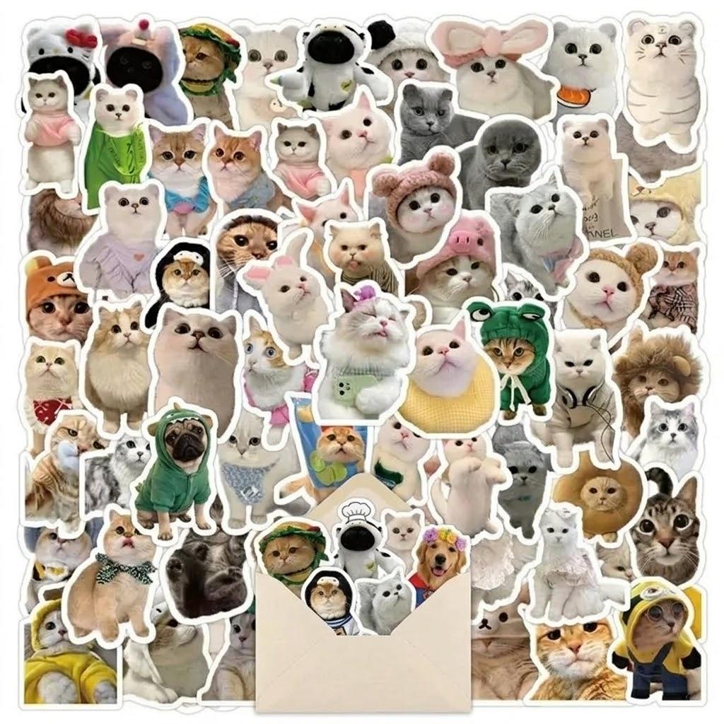 Random Sticker Pack 5pcs Surprise Stickers Set Cute Aesthetic Vinyl Stickers for Phone Laptop Water Bottle DIY Gift