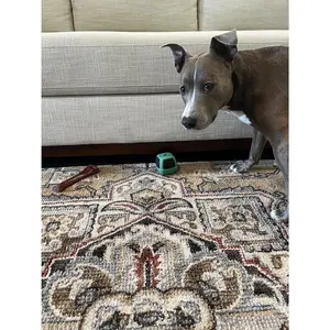 Under Couch Stop Things from Going Under Sofa or Bed – Adjustable Gap Bumper for Furniture