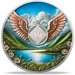 NA Sobriety Coin - NA Medallions with Wings and Scenic Sobriety Chips NA Coins - Ideal Narcotics Anonymous Gifts for Men ＆ Women Celebrating Recovery and Living Clean (21 Year)