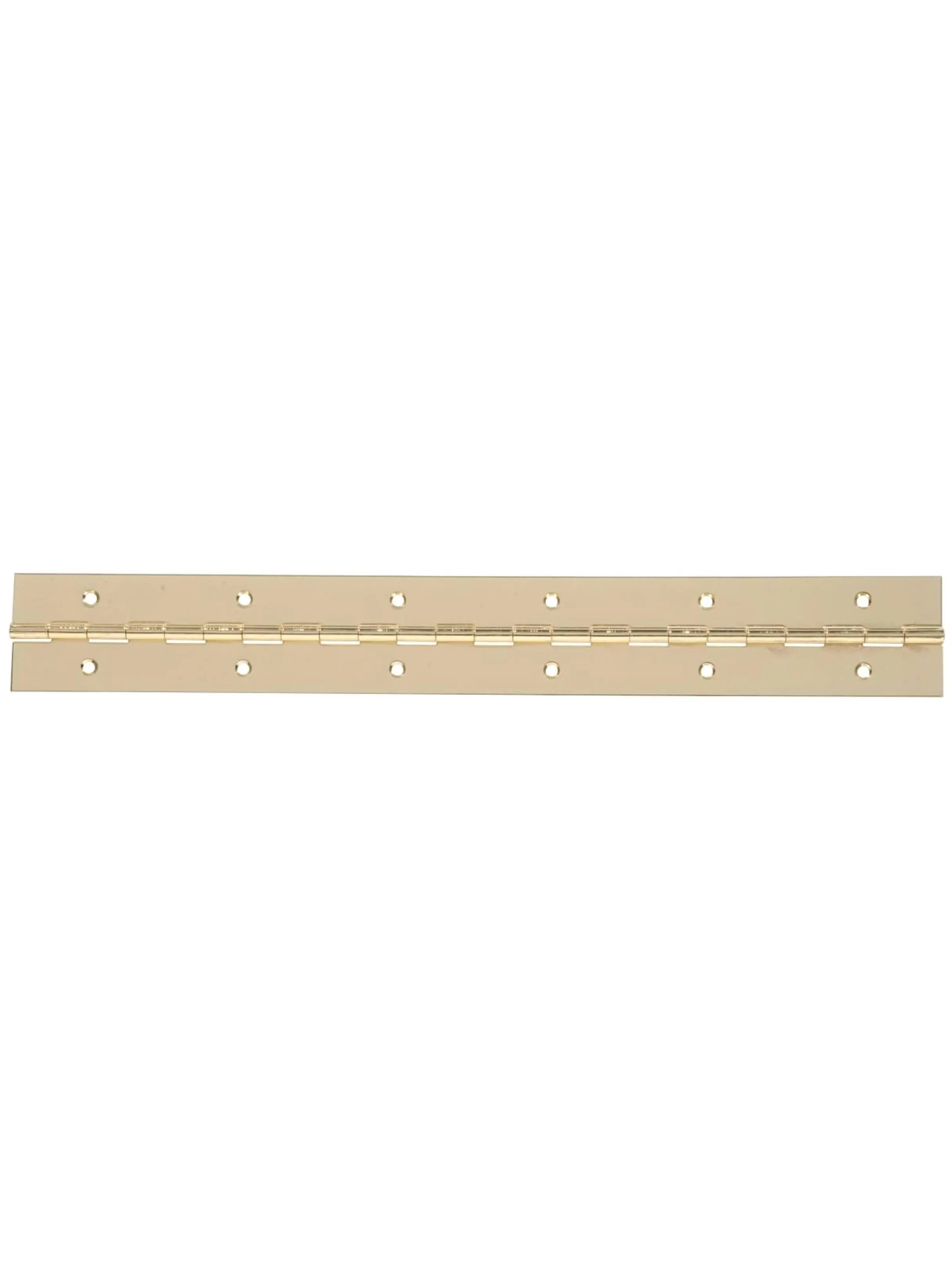 Hillman Group 851970 Carded Plated Finish Brass Continuous Door Hinges, 48x1-1/2 in, for Lawn & Garden Use