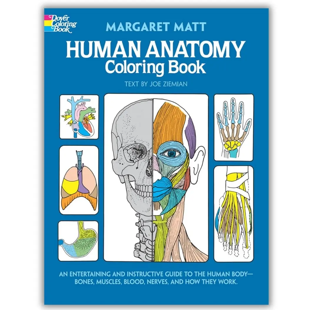 Human Anatomy Coloring Book (Dover Publ., 1st Ed., English Text, 48 Pages, Labeled Key) - Detailed Close-Ups of Bones, Muscles, Blood, Nerves & Body Function, Classroom Learning Aid for Adults, Whimsical Gift for Coloring Pencils Use, Easy Learning Study
