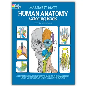 Human Anatomy Coloring Book: Explore Bones, Muscles, Blood, Nerves & Body Function Bold and unique gift whimsical drawing