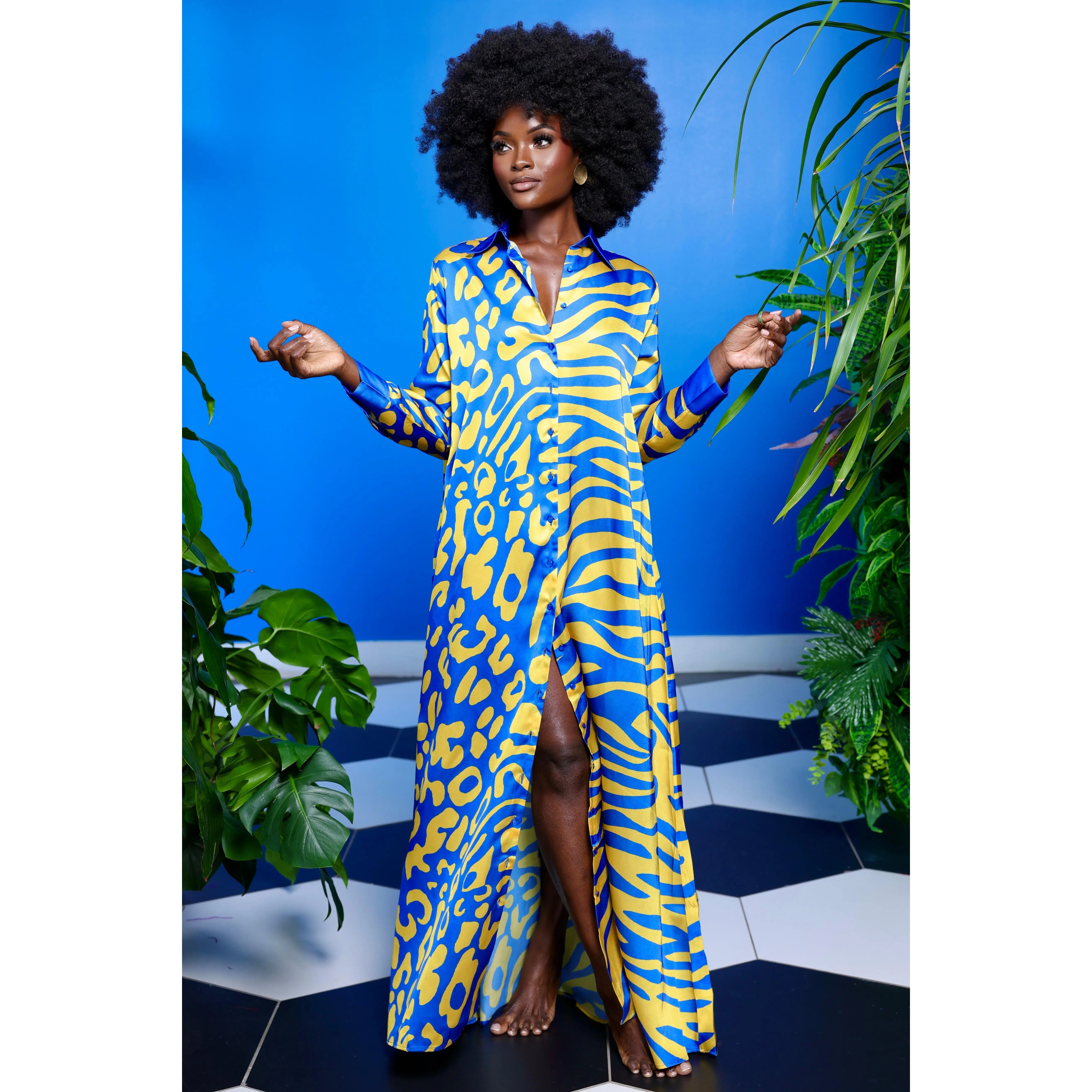 Aisha Shirt Dress