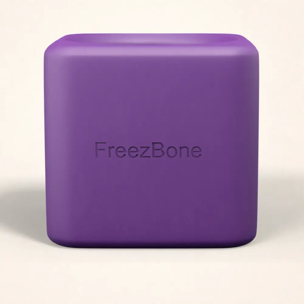 Freezbox - Super Tough Treat Toy