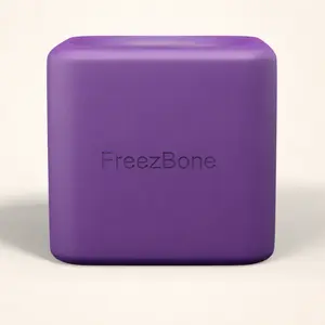 Freezbox - Super Tough Treat Toy