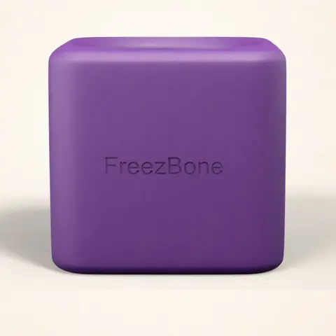 Freezbox - Super Tough Treat Toy