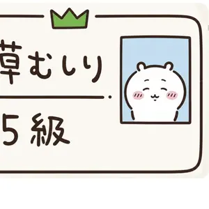 Chiikawa Licenses & Permits Themed Rectangular Stickers with Glueless Adhesive, Scrapbook Materials, Collectibles for Laptops, Water Bottles, Fridges, Adhesive Tape Compatible