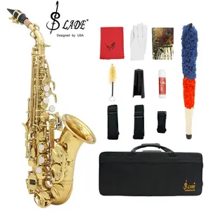 Bb Soprano Saxophone, Brass Body Carved Shell Woodwind Instrument with Backstraps Case Accessories, Musical Instrument for Teenager & Adult