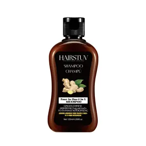 4 in 1 Ginger Shampoo for Healthy Hair Haircare Daily, Oil Control Refreshing, Haircare Comfort, Supports Hair Growth, Christmas and New Year Gift for Parents, 4.06oz (120ml)