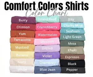 Comfort Colors B Kliban Cat San Francisco Golden Gate T-Shirt, Popular Movie Shirt