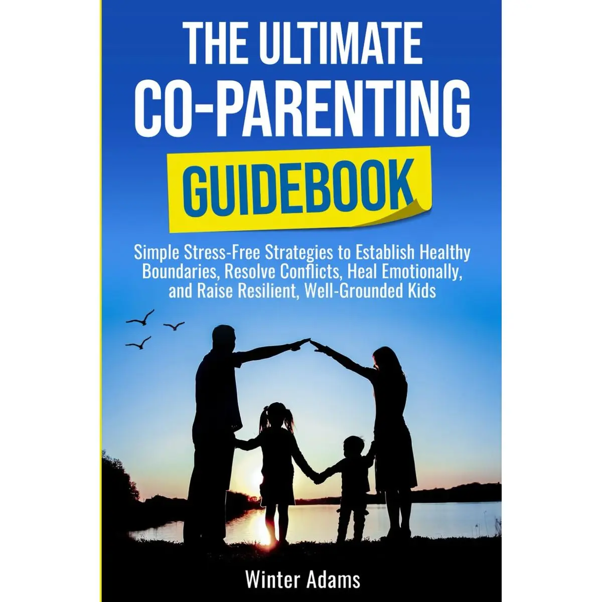 THE ULTIMATE CO PARENTING GUIDEBOOK: SIMPLE STRESS-FREE STRATEGIES TO ESTABLISH HEALTHY BOUNDARIES, RESOLVE CONFLICTS, HEAL EMOTIONALLY, AND RAISE RESILIENT, WELL-GROUNDED KIDS Paperback – April 30, 2025