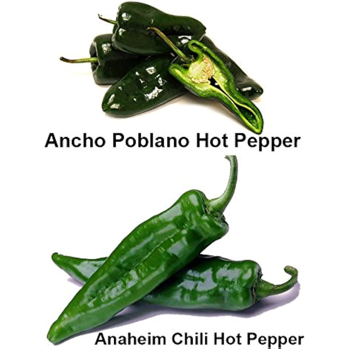 Please Read This is A Mix 30 Hot Pepper Mix Seeds 16 Varieties Non-GMO , Tabasco, Jalapeno, Yellow and Red Scotch Bonnet, Jalapeno Habanero US Grown Capsicum annuum